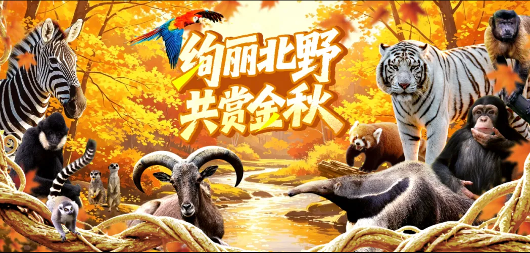 199元三次入园权益卡重磅推出！