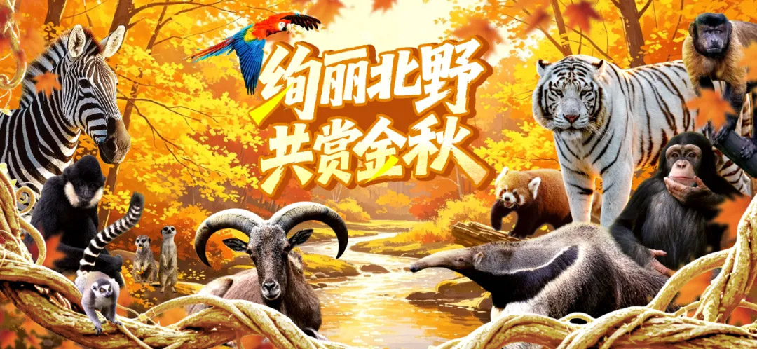 199元3次卡再次火爆来袭！今晚24点开抢！