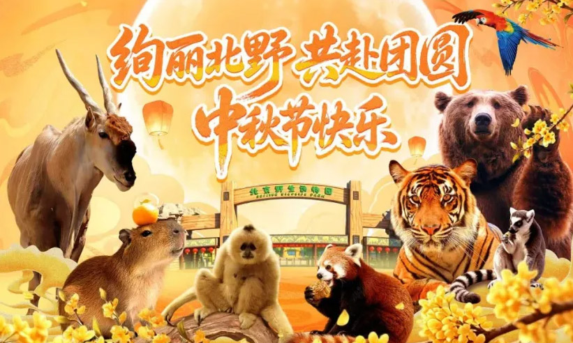 绚丽北野 共赴团圆｜北京野生动物园中秋限定活动上线！
