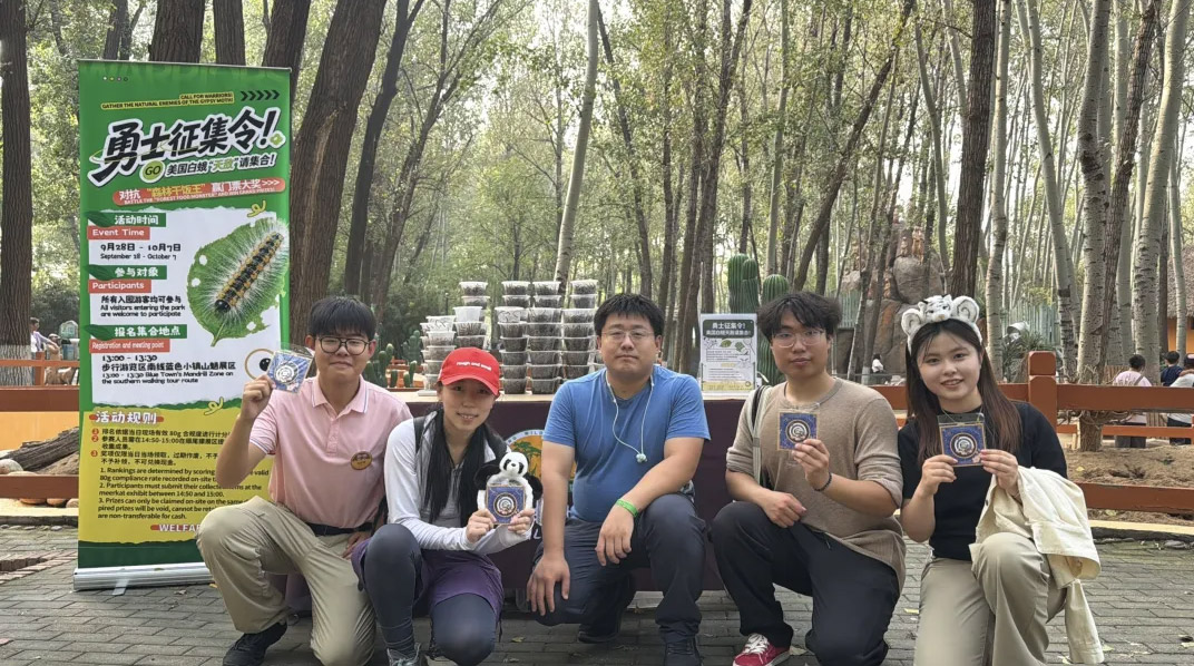 美国白蛾 “天敌” 再添猛将！ “杜鹃鸟之王”上线～活动延至“十一”！